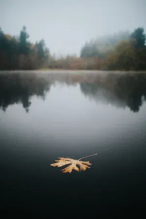 Search for the Soul of Seattle: Autumn in the Emerald City