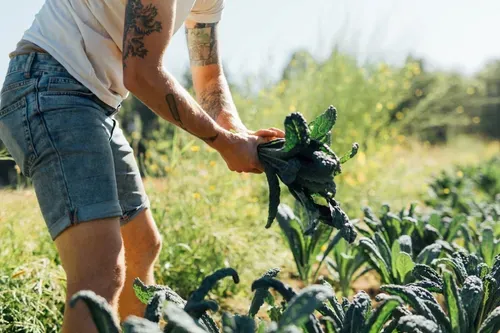 Footprint Wine Tap and Pink Moon Farm are Queer to Stay