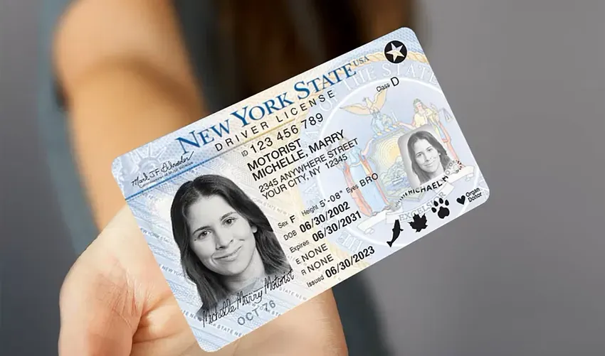 A New York REAL ID driver's license / NYS DMV<br>